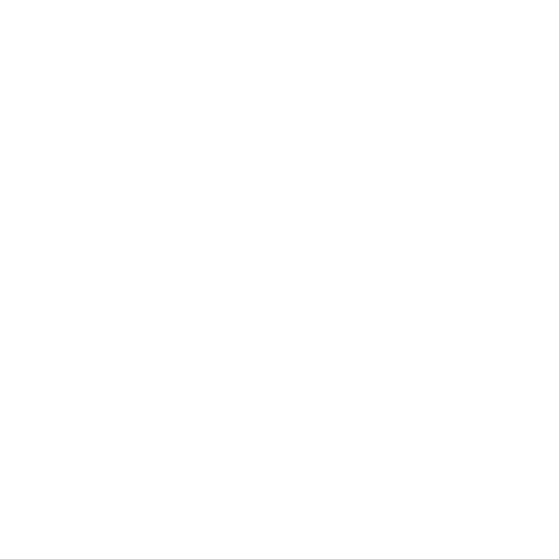 AI Model Porting and Optimization