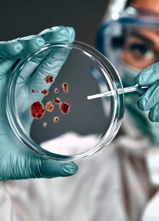 medical technology solutions