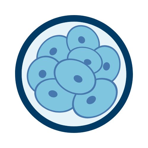 KritiLife: Embryo Grading Platform (EGP)