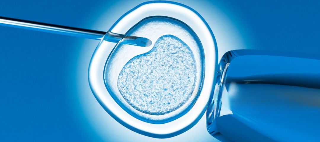 Assisted Reproductive Treatments with AI Embryo Grading