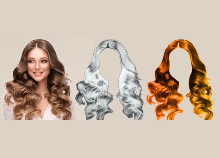 AI-Powered 3D Hair Analysis Using Multi-View Image 2