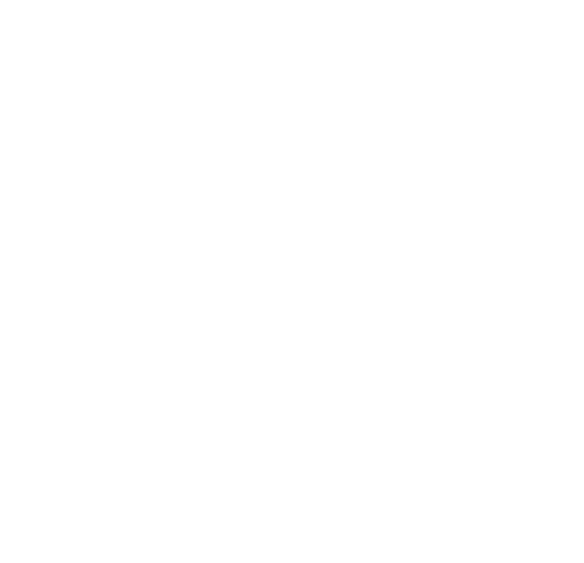 Consumer Electricals & Electronics